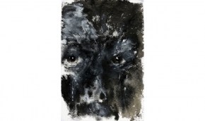 52