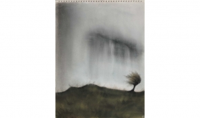 55