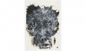C13-20_FD