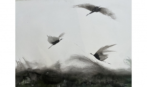 C21-4979x563oiseauxQuiVolentEncre