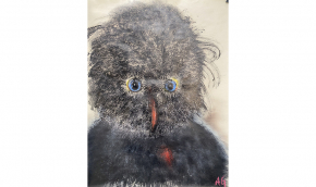 C22-1-63x48Oiseau-emerveilleGNG26